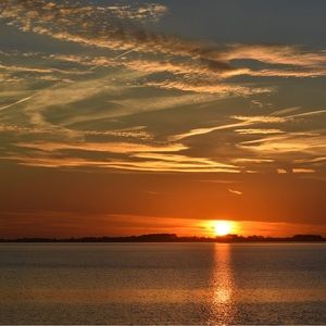 Meet your Posher, Ry